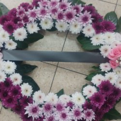 גלגל אבל לבן סגול