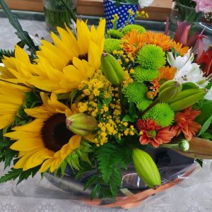 סידור קופסה חמנייה שובבה